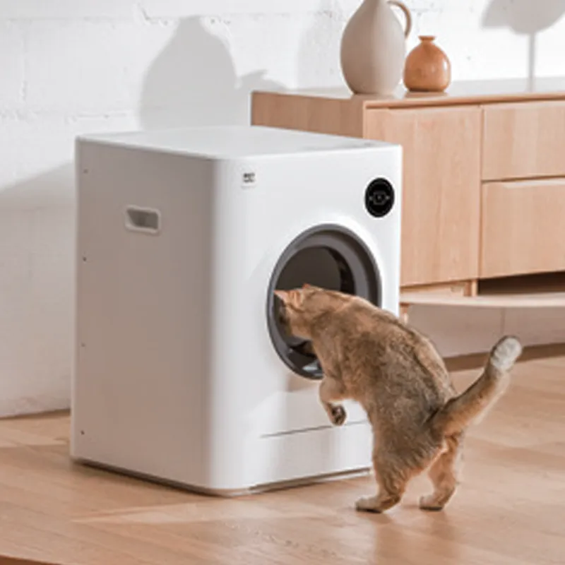 Fornecedor atacadista de areia para gatos inteligente