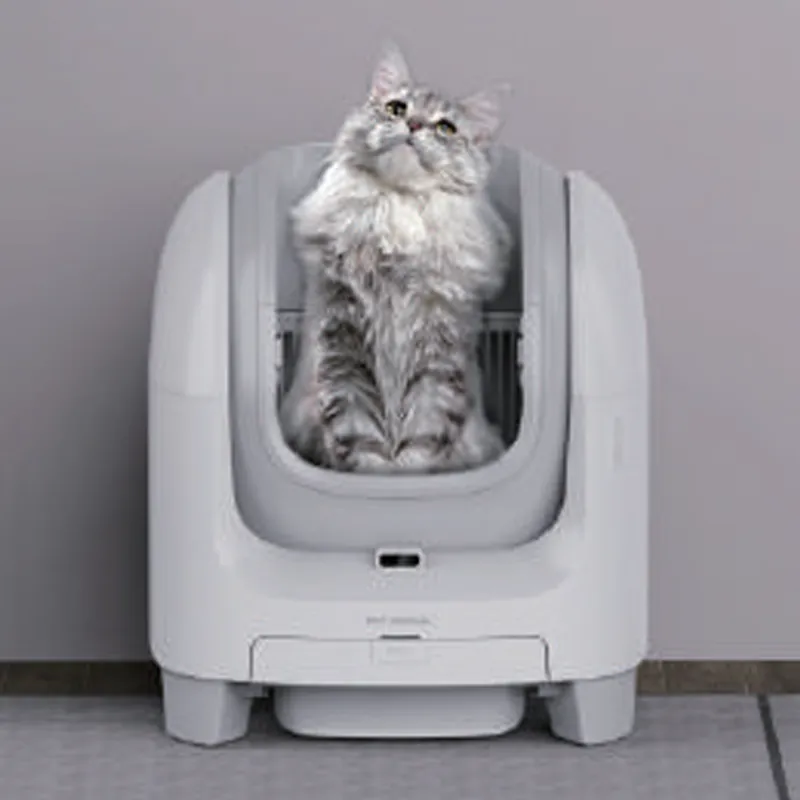 fornecedor de areia inteligente para gatos