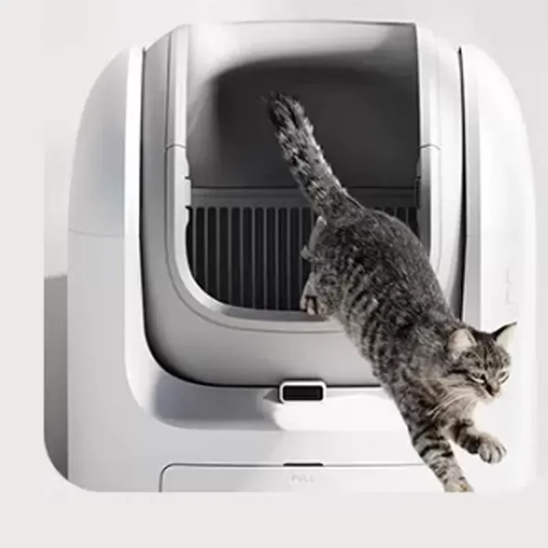 areia para gatos inteligente a granel