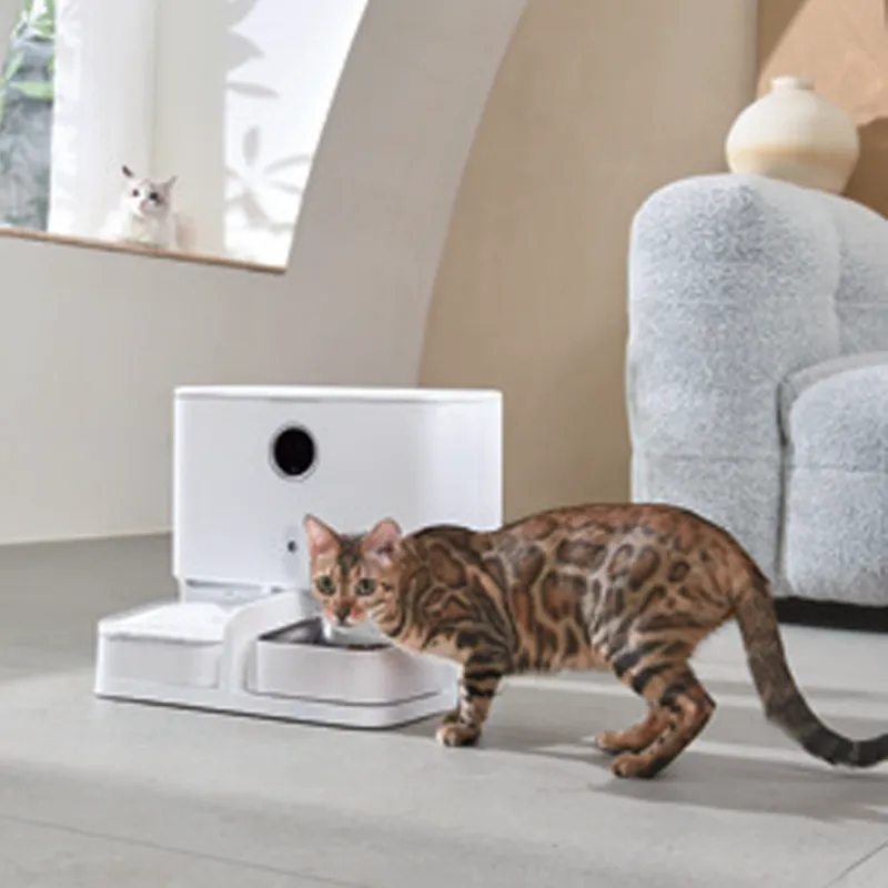 Fabricante de comedouro e fonte inteligentes para pets à venda